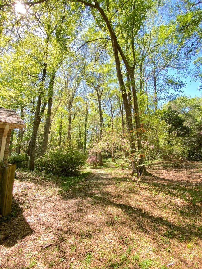 Building Photo - Charming 3-Bedroom Home in Prime Auburn Lo...