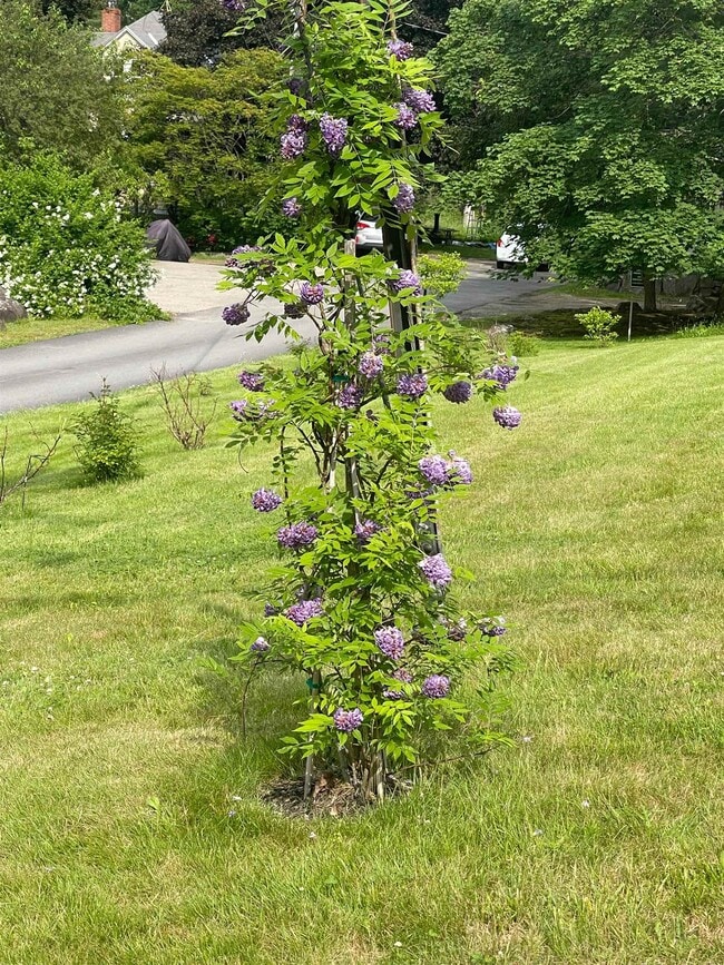 Building Photo - 35 Mill Pond Rd