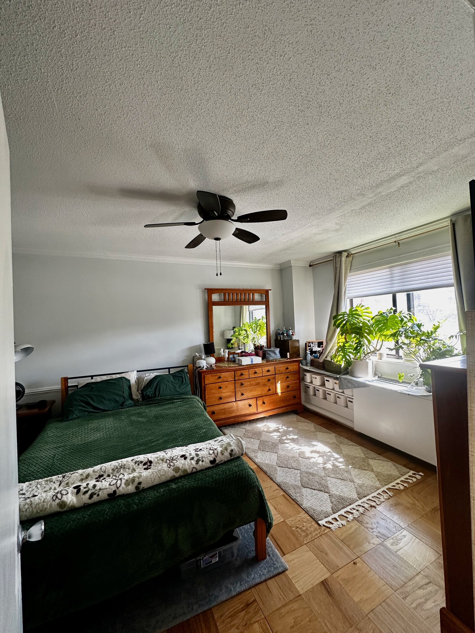 Ceiling Fan in bedroom - 3515 Washington Blvd