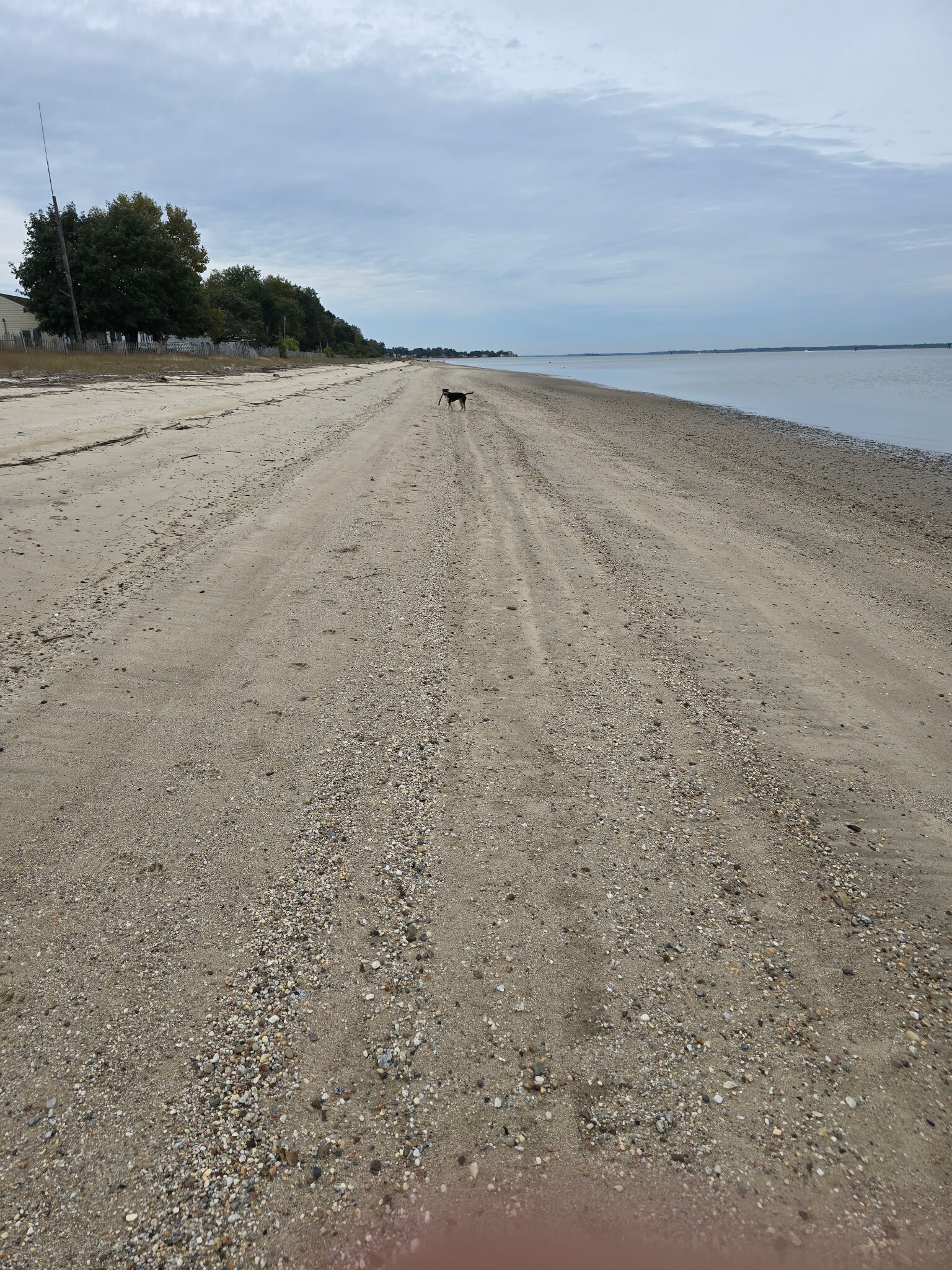 Building Photo - 18 Slape Ave