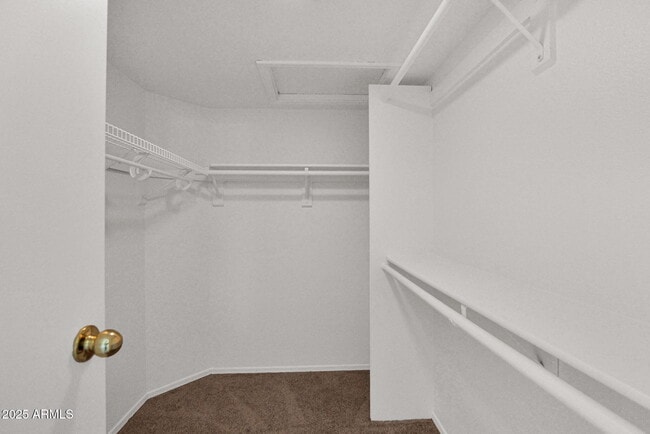 Building Photo - 3623 E Oraibi Dr