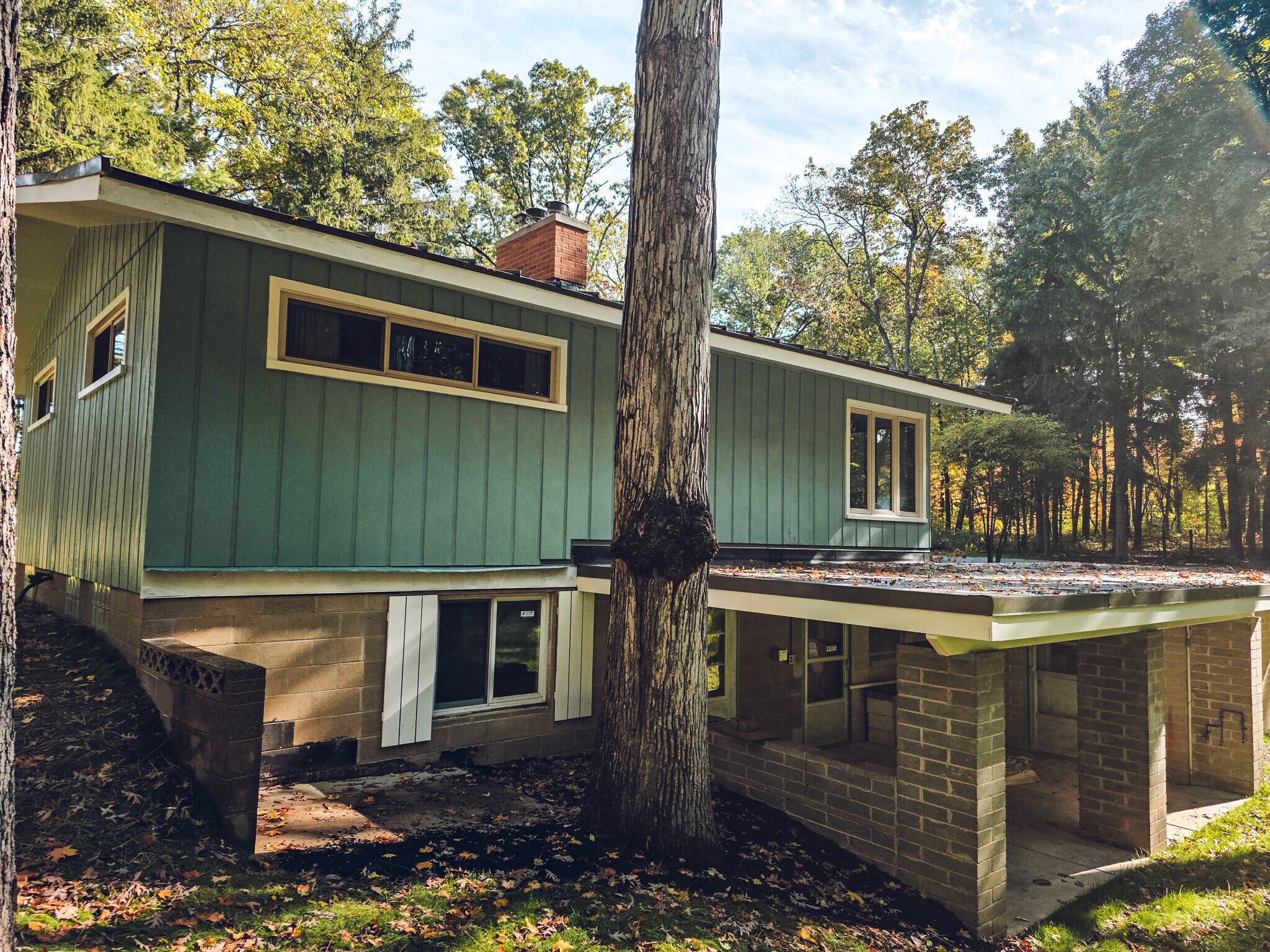 View of back of house, with walkout basement. - 1008 W Singing Woods Rd