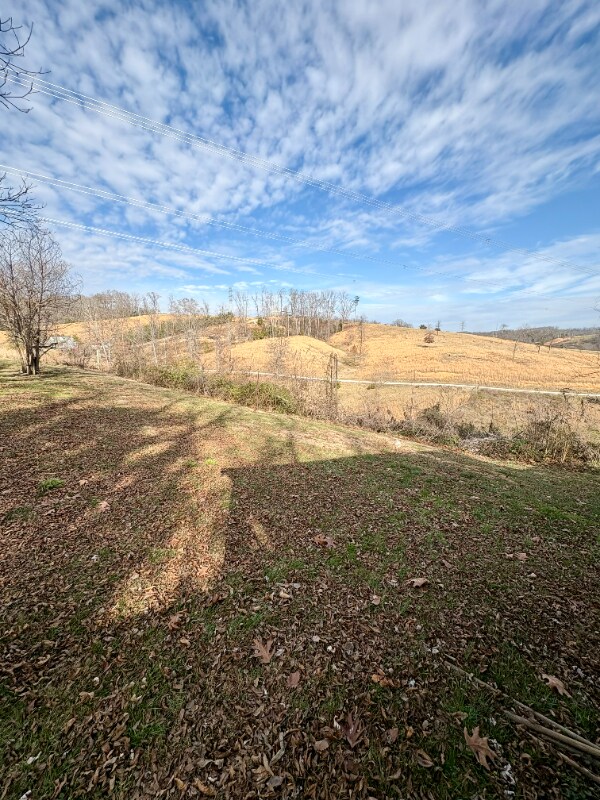 Building Photo - 412 Meadowview Ln