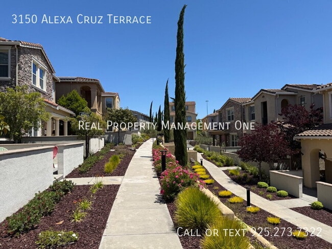 Building Photo - 3150 Alexa Cruz Terrace