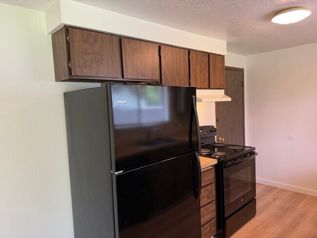 Building Photo - Updated single level 2 bed/1 bath duplex in Thurston!
