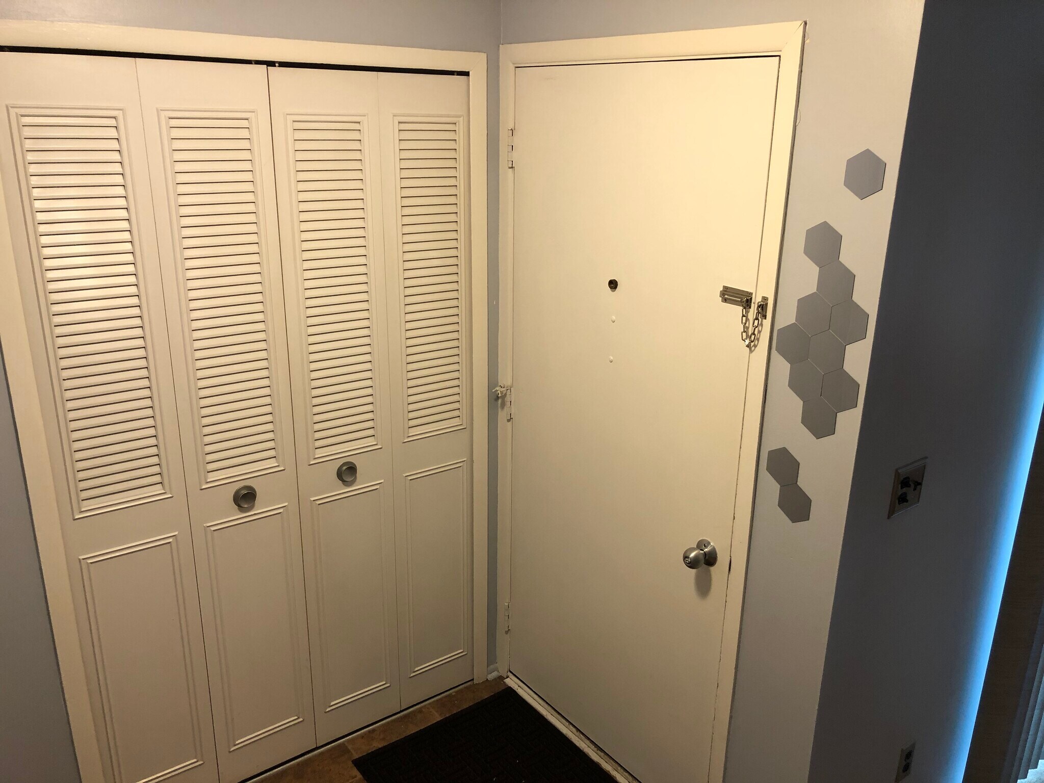 Entrance with lots of storage space - 8328 Karam Blvd