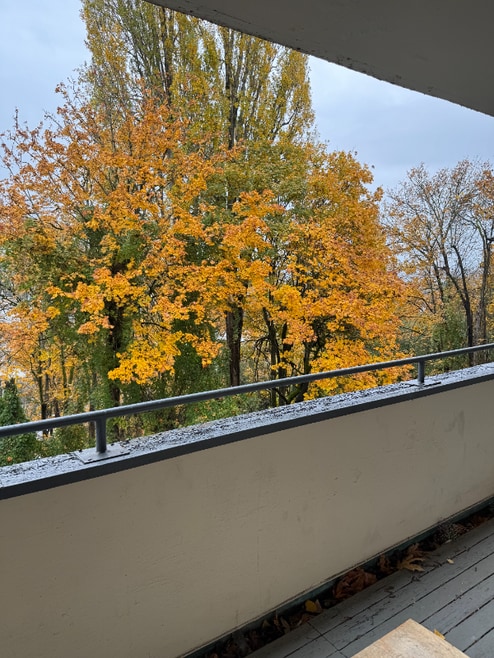 Building Photo - 4640 22nd Ave NE