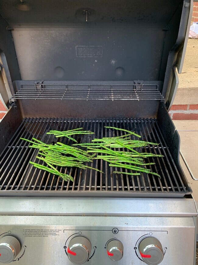 Use of gas grill - 1109 Offutt Dr
