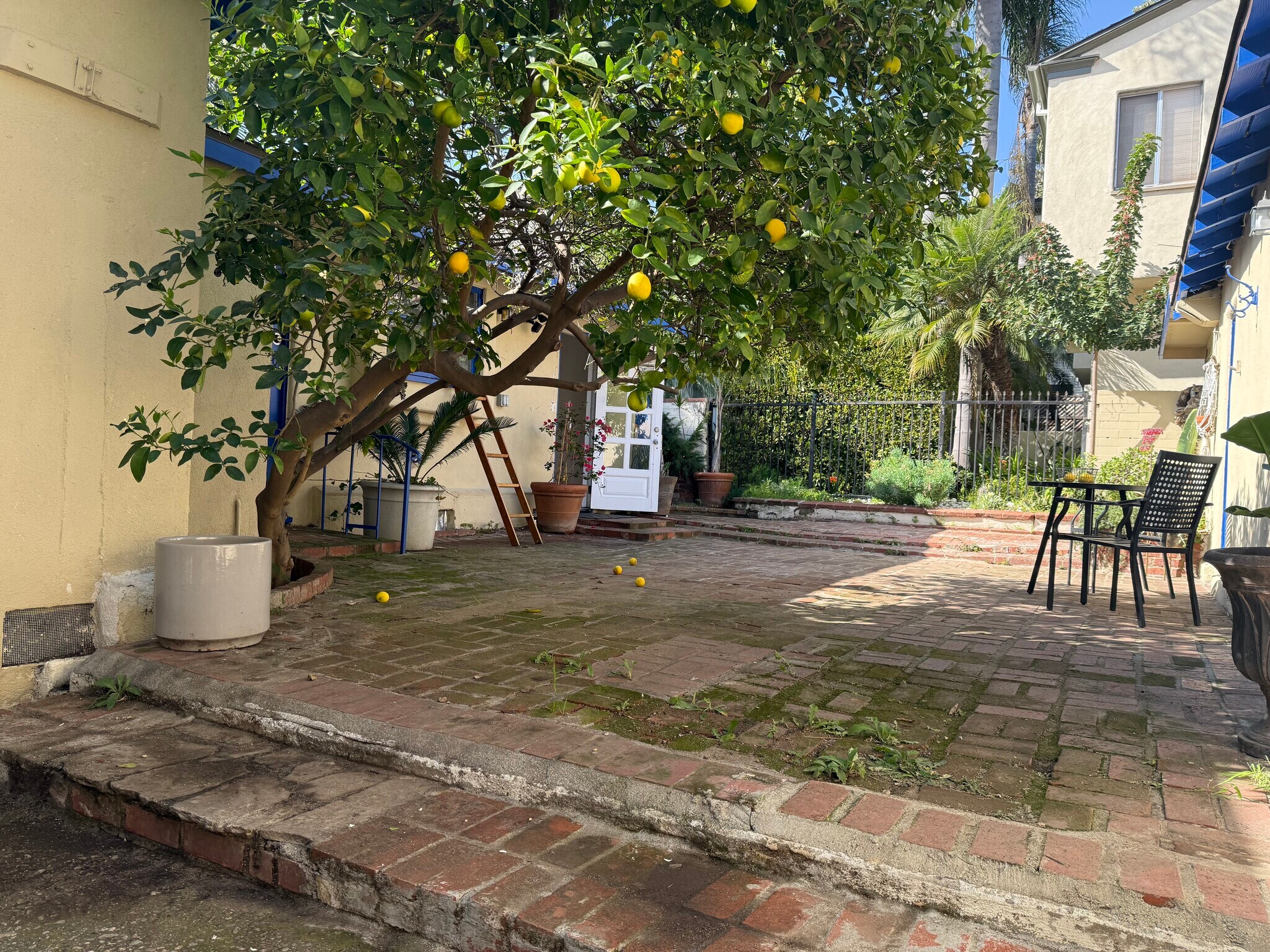 Building Photo - 911 14th St