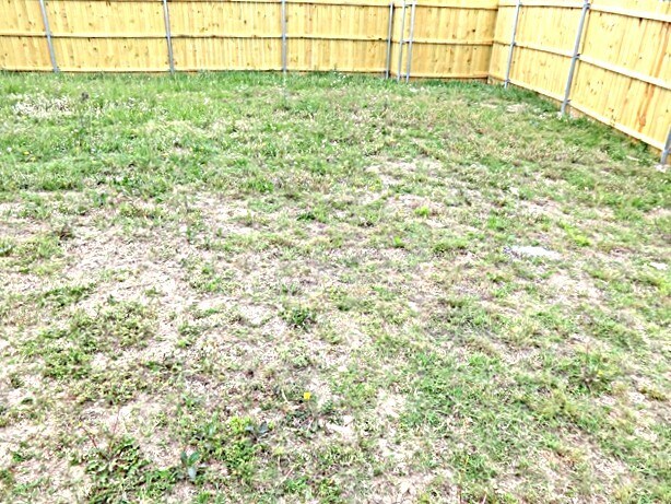 Building Photo - 1307 Rabbit Rdg