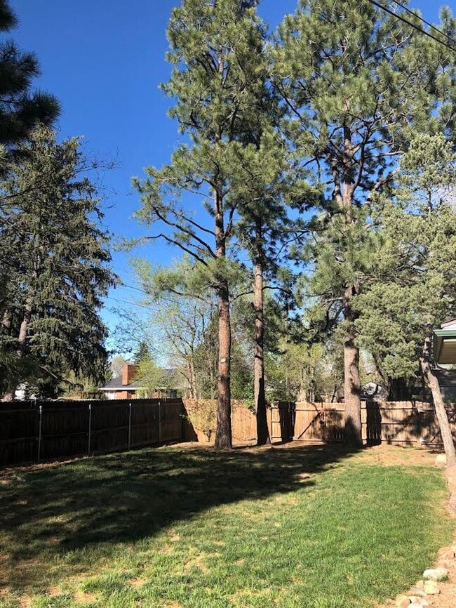 Building Photo - Charming 4 Bd, 2 Ba, Ranch Home in D-12 School District, close to Downtown, Trails and Ft. Carson