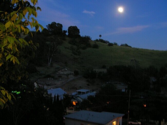 Hillside at Night - 3214 Johnston St