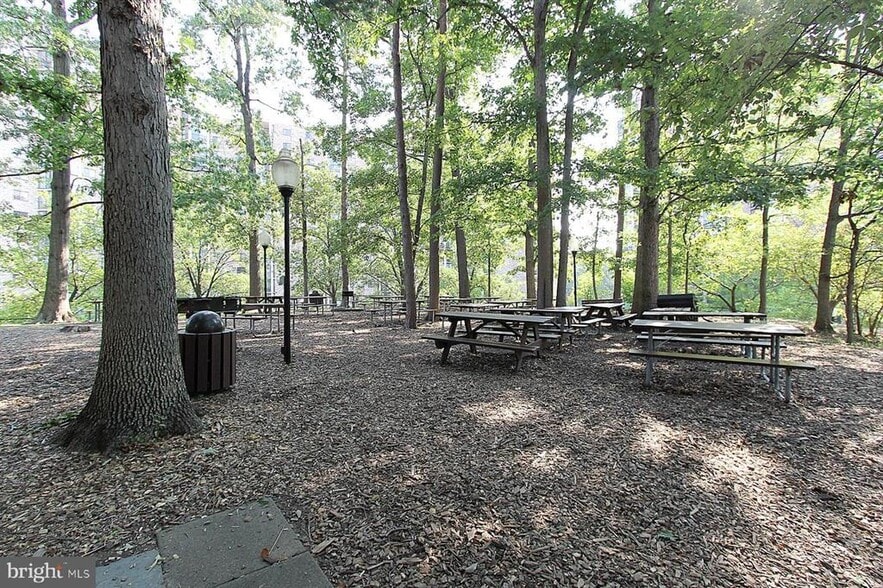 Picnic hill - 5901 Mt Eagle Dr