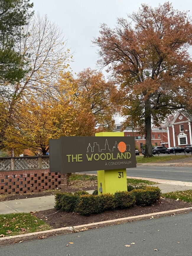 Primary Photo - 31 Woodland St