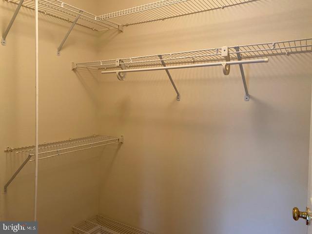 Building Photo - 11812 Eton Manor Dr