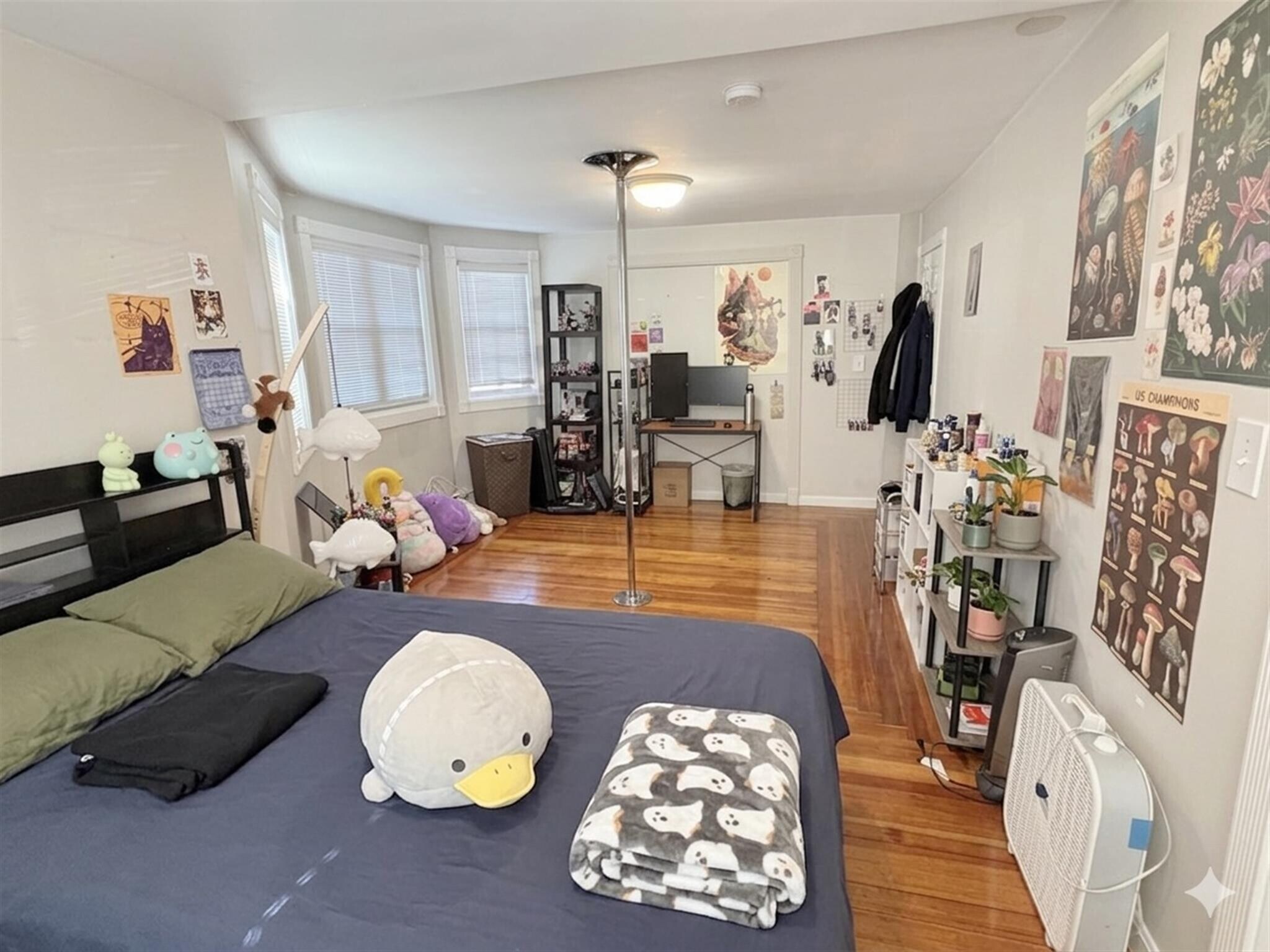 Building Photo - 521 Main St