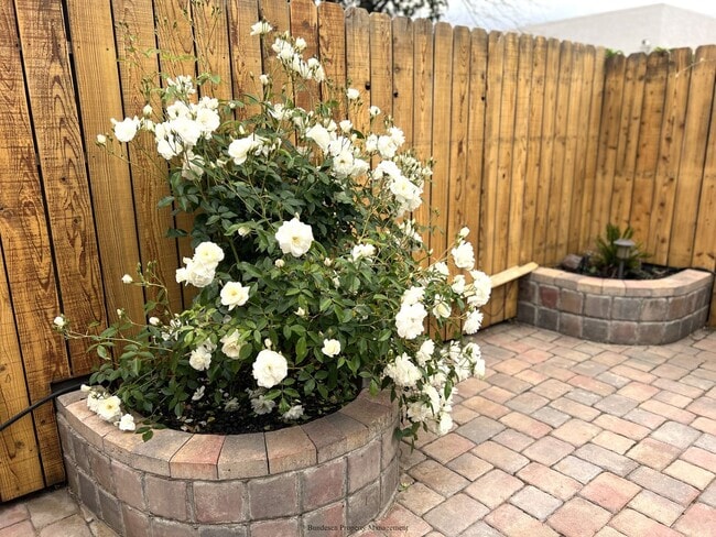 Building Photo - Charming, Updated 3-Bedroom Home in Prime Napa Location