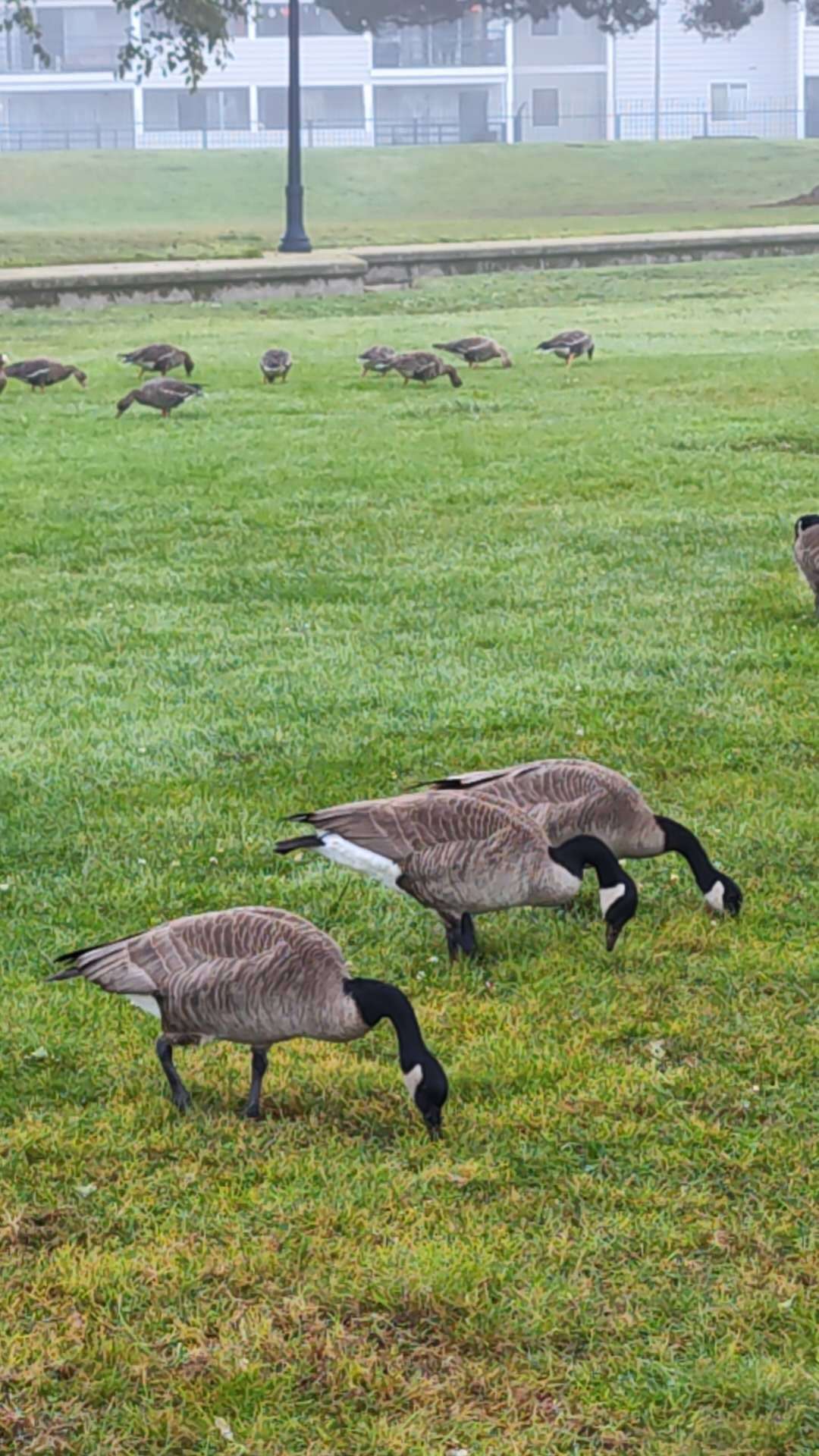 Building Photo - 2502 Jetty Dr