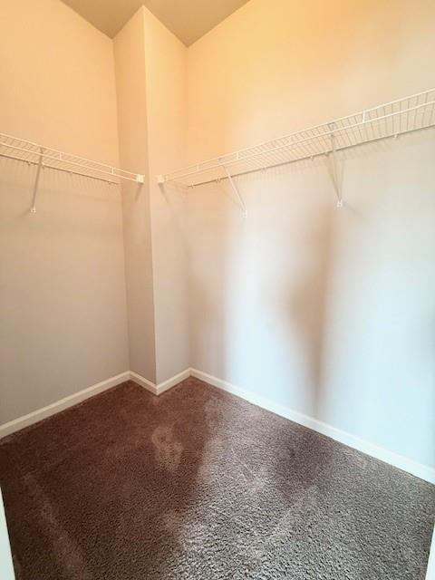 Building Photo - 4502 Big Rock Rdg Trl