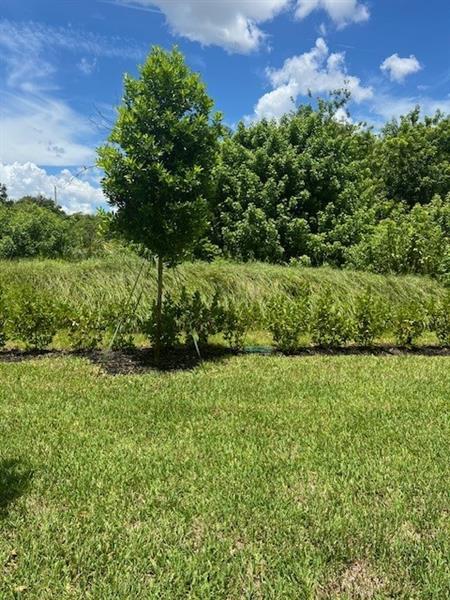 Building Photo - 4393 Hammock Grove Dr