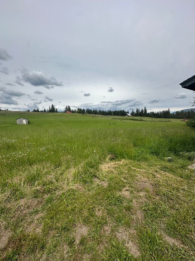 Building Photo - Country Living within one mile to town