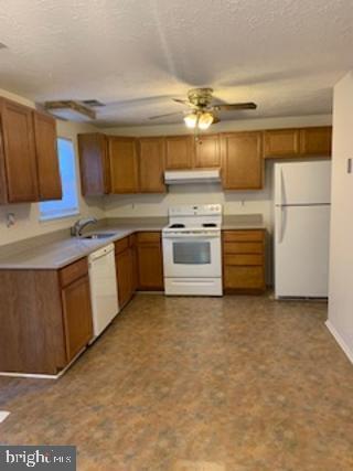 Building Photo - 11231 Joyceton Dr