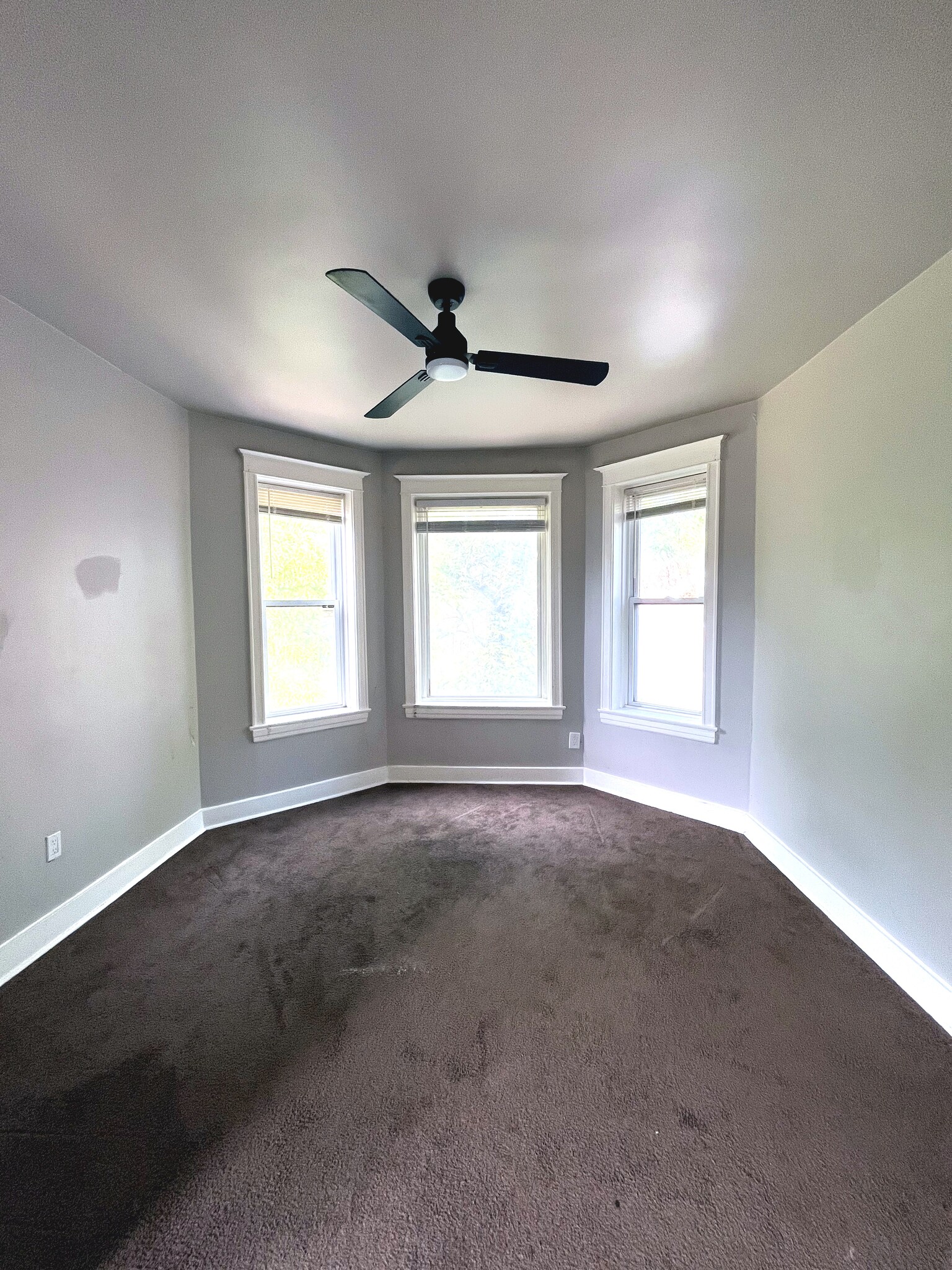Living room - 5735 S Marshfield Ave