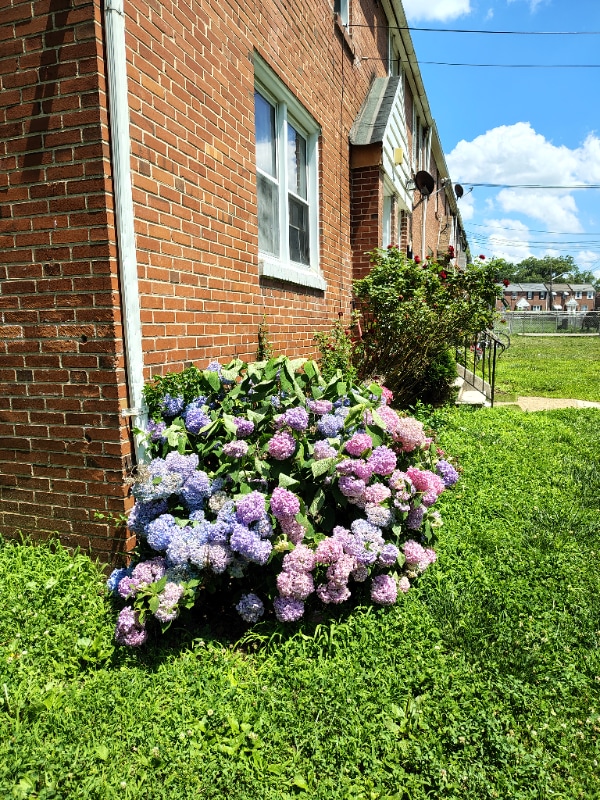 Primary Photo - 2135 Seneca Rd