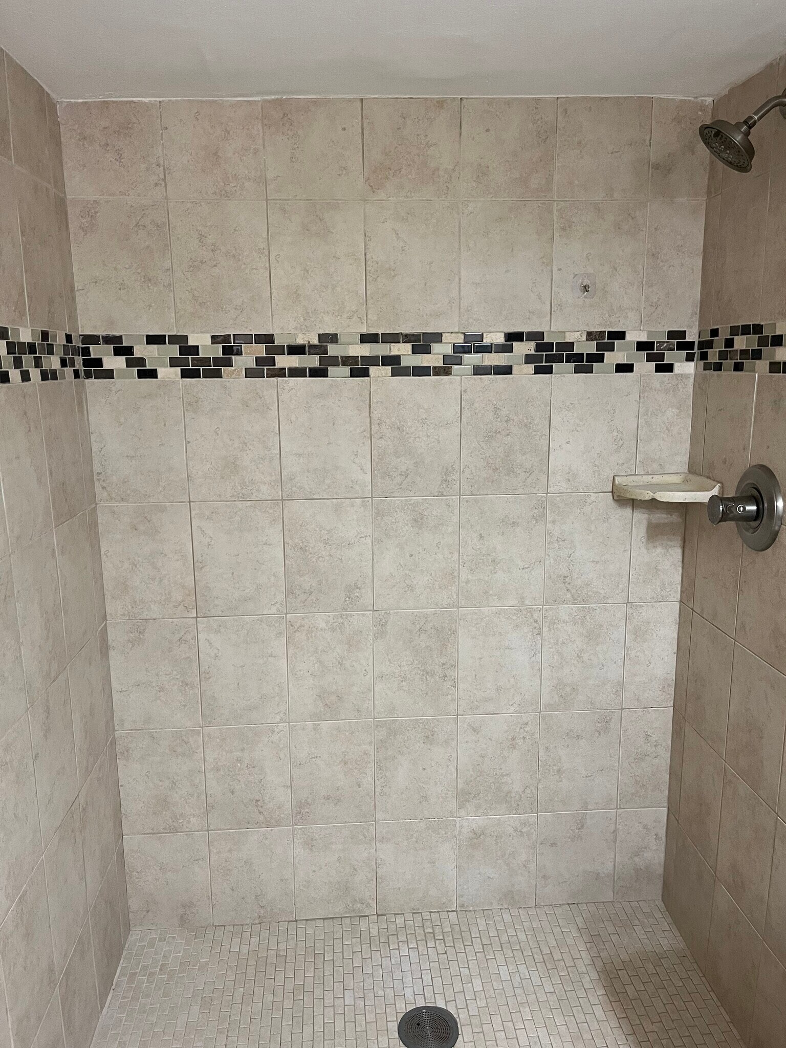 Master Shiower - 2469 Twin Dr