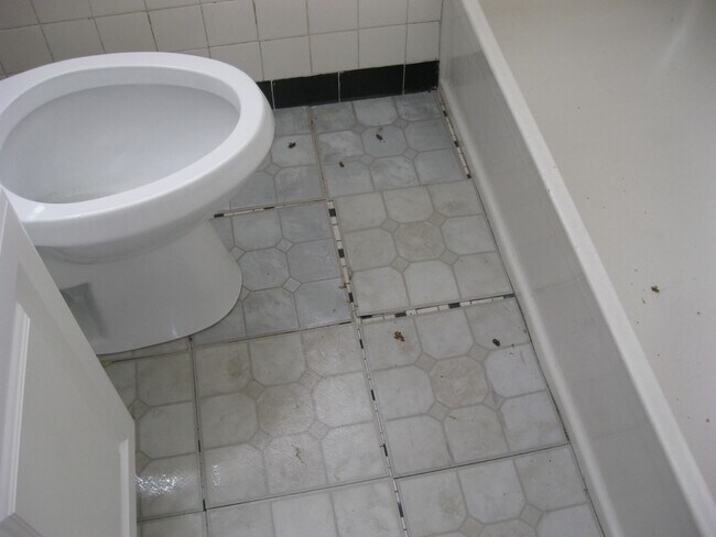 Building Photo - cute house