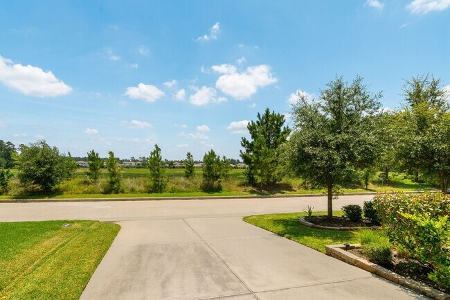 Building Photo - 71 Springtime Creek Dr