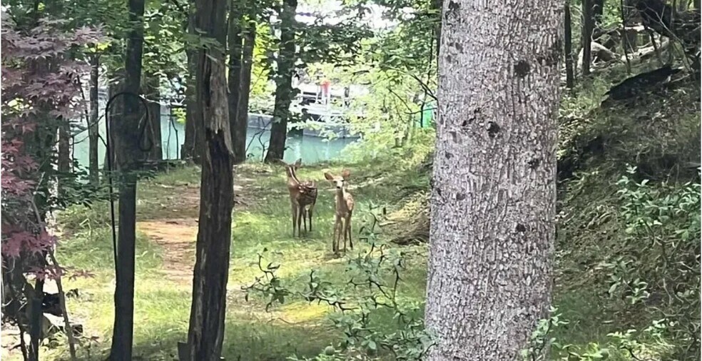 Building Photo - 3473 McKenzie Dr