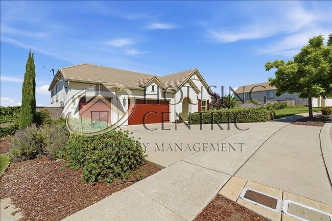 Building Photo - Executive Gated Rental with Stunning Views & Solar!