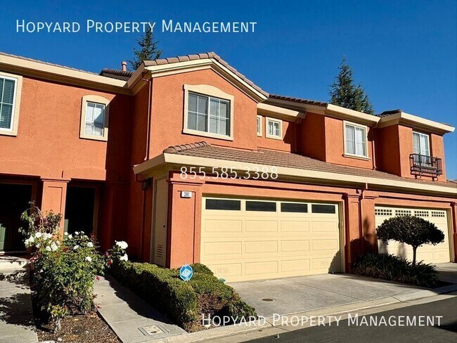 Primary Photo - Milpitas Gem - Available for Immediate Mov...