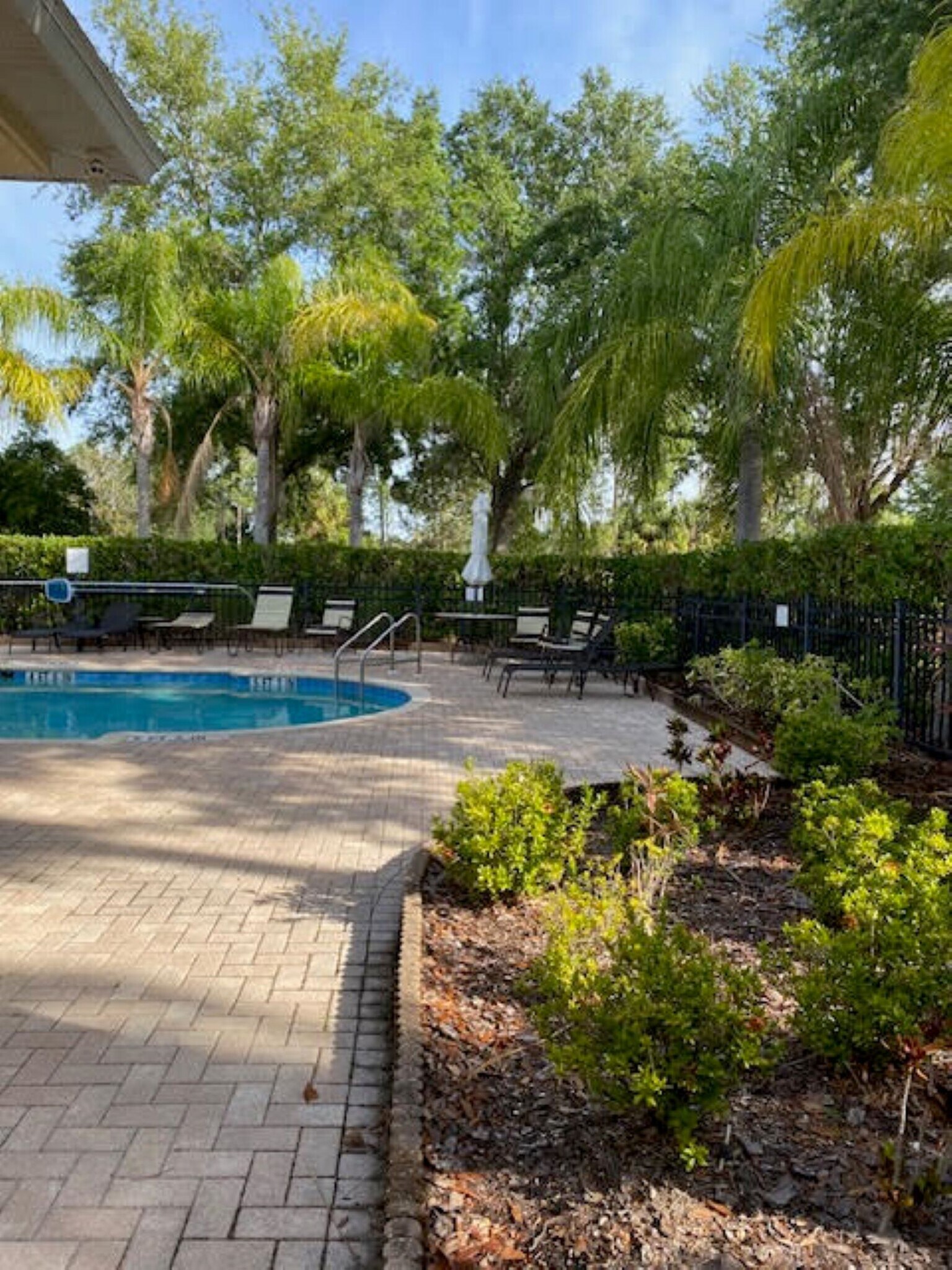 Community Pool - 13055 Tigers Eye Dr
