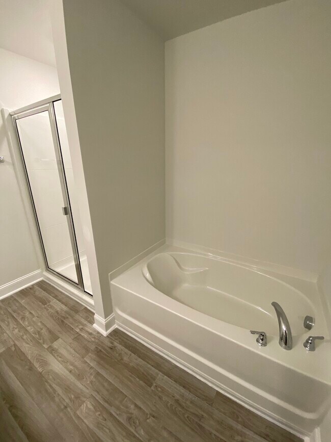 Master Bath soaker tub - 78 Horizon Ln