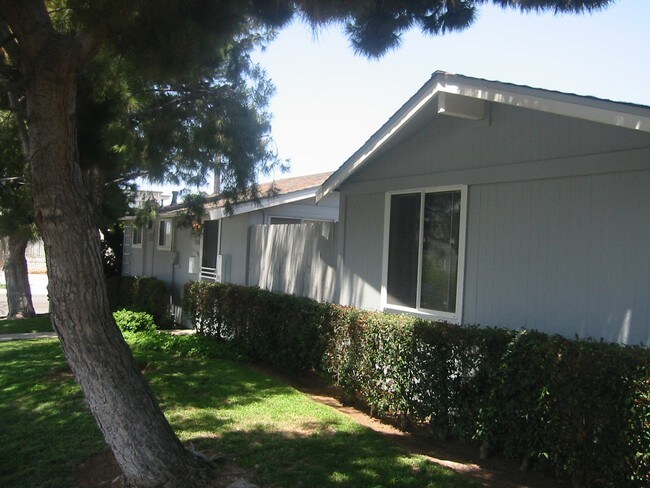 Building Photo - Riley Street Apartments