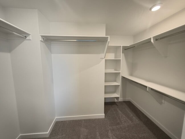 Building Photo - Brand New - 4 Br 2.5 Ba 2 Car Garage - Shaded Patio+++