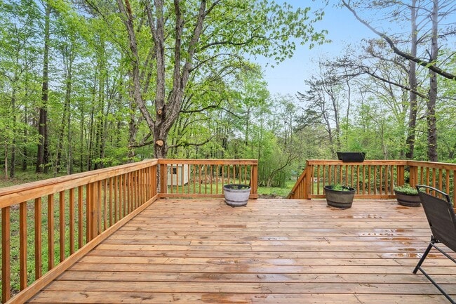 Building Photo - Nature Lovers 3 Bed 2 Bath Chapel Hill Ranch Available early August