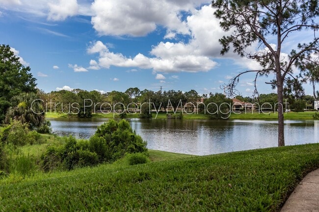 Building Photo - 2569 Grassy Point Dr
