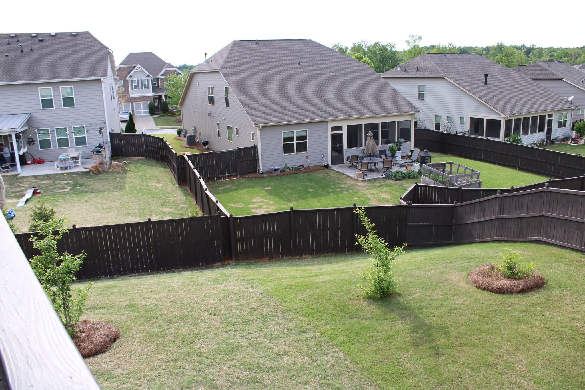 Backyard view 1 - 2940 Furlong Ct