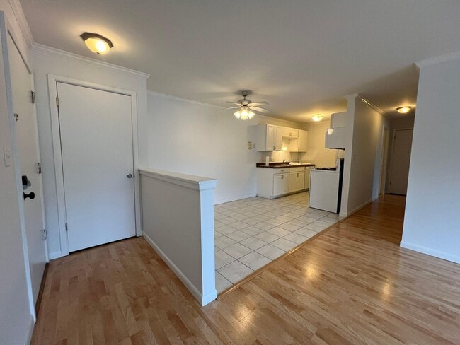 Building Photo - 255 Elmwood Ave