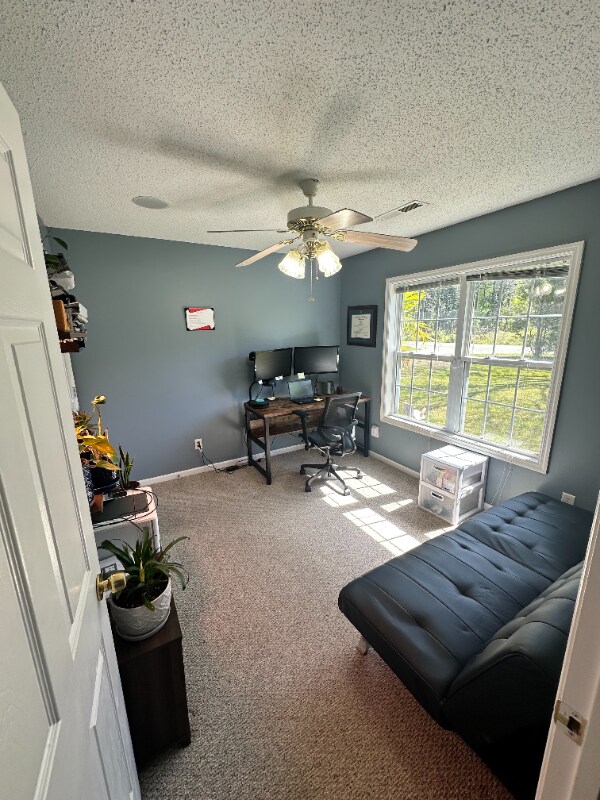 Building Photo - 1107 Pine Grove Dr