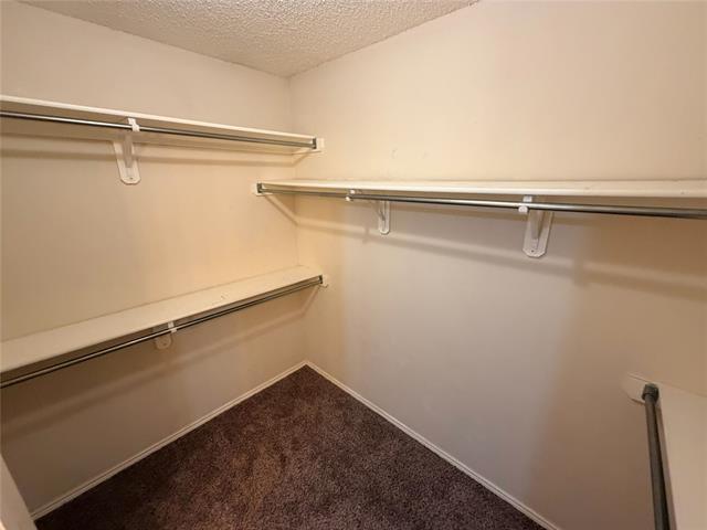 Building Photo - 8604 Stetson Dr