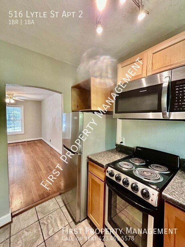 Building Photo - 516 Lytle St