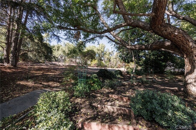 Building Photo - 31561 Peppertree Bend Unit