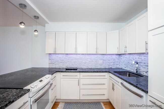 Building Photo - 1560 N Sandburg Terrace