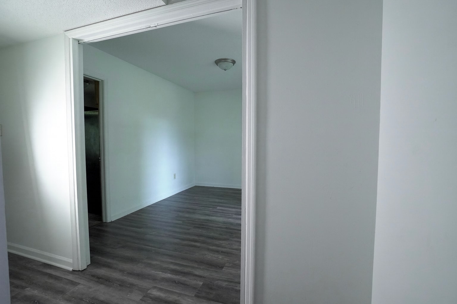 Spacious dining area with natural light and updated laminate flooring. - 2313 Salem West Dr
