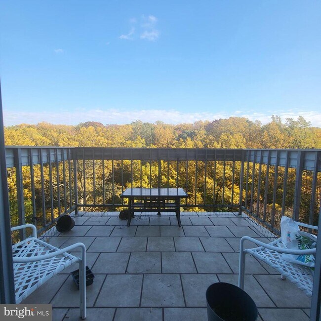 Building Photo - 3600 Conshohocken Ave