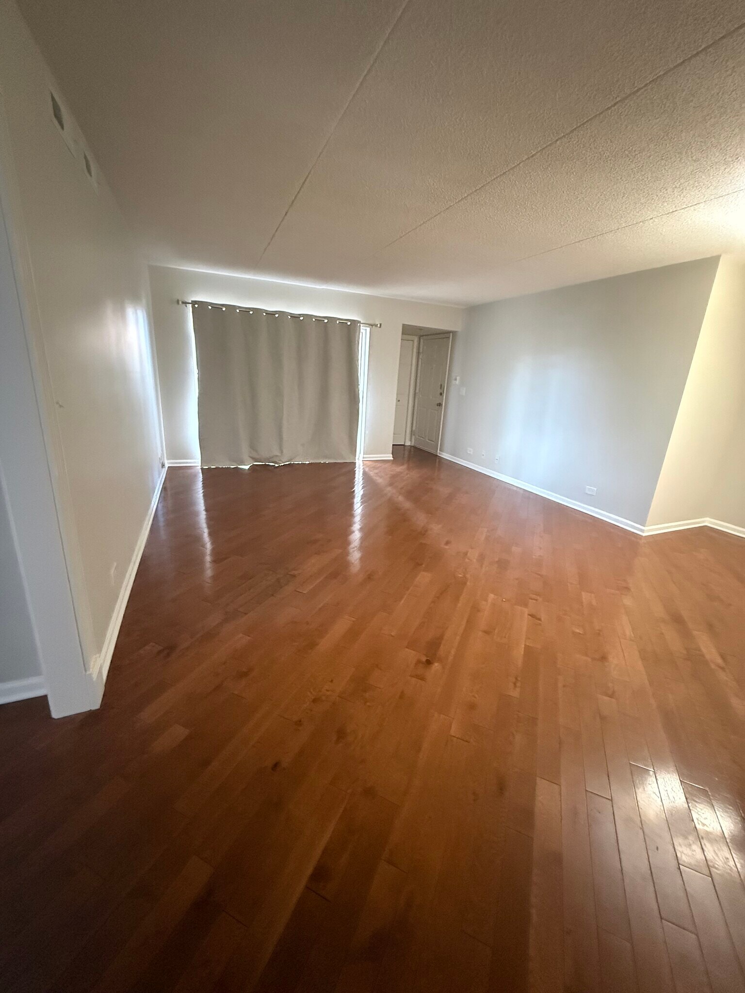 Living room - 4750 N Elston Ave